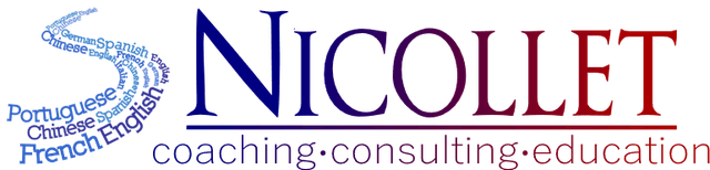 nicollet consulting